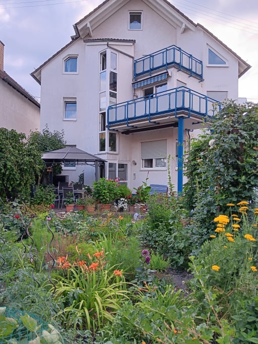 Miete 1 Zimmer Wohnung Frankfurt am Main | Ganze Wohnung | Frankfurt am Main | Helle, freundliche Einzimmerwohnung | Hominext