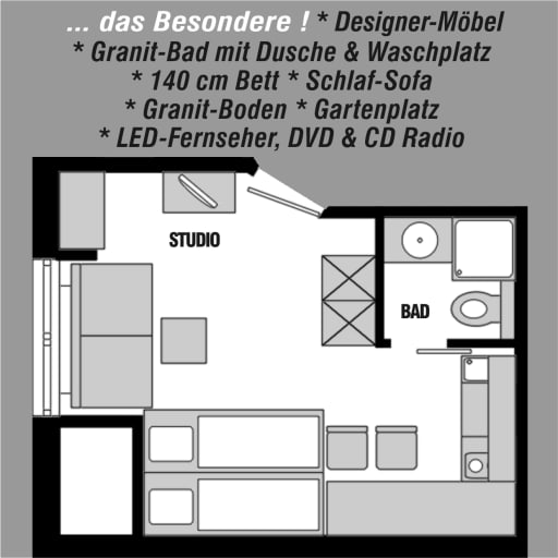 Miete 1 Zimmer Wohnung Mainz | Ganze Wohnung | Mainz | DAS BESONDERE APARTMENT * NOBLE AUSSTATTUNG * NÄHE UNI | Hominext