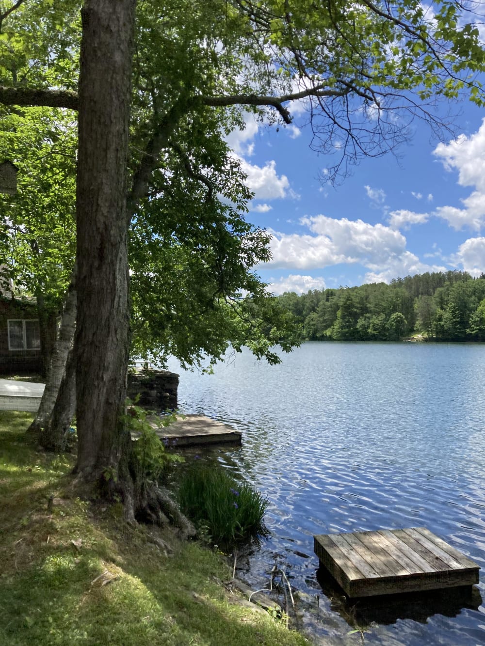 145 Summit Lake Road, Summit, NY 202122217 HomeLister