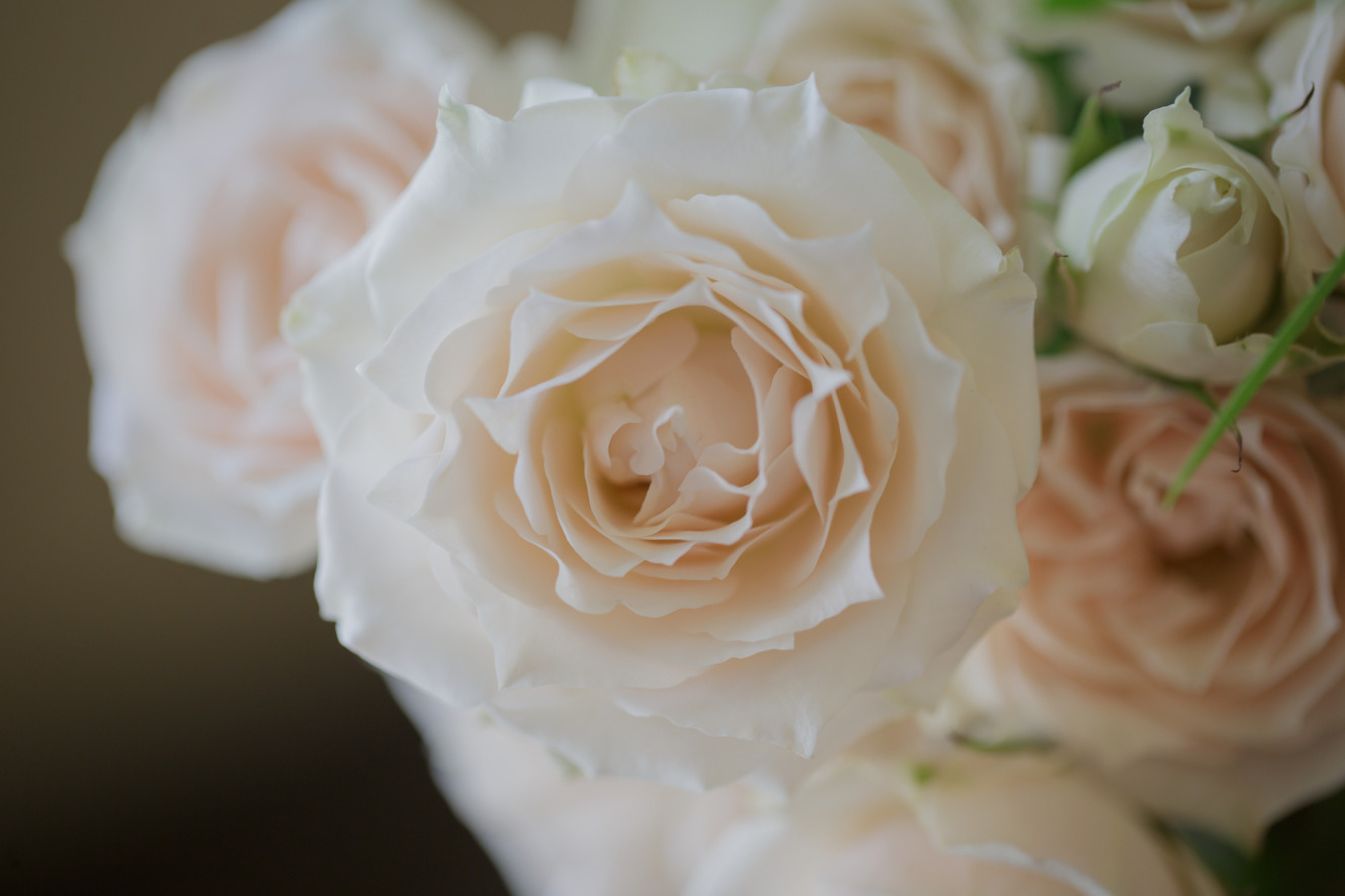 Greensboro Wedding in WeirJordan House, North Edgeworth Street