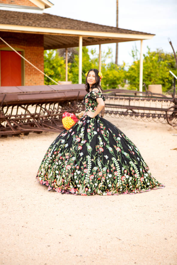 Brianna's Quinceañera Photography in La Princesa, North 59th Avenue