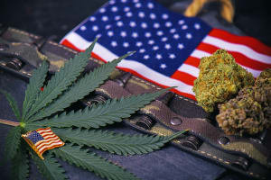 cannabis, veteerans, PTSD