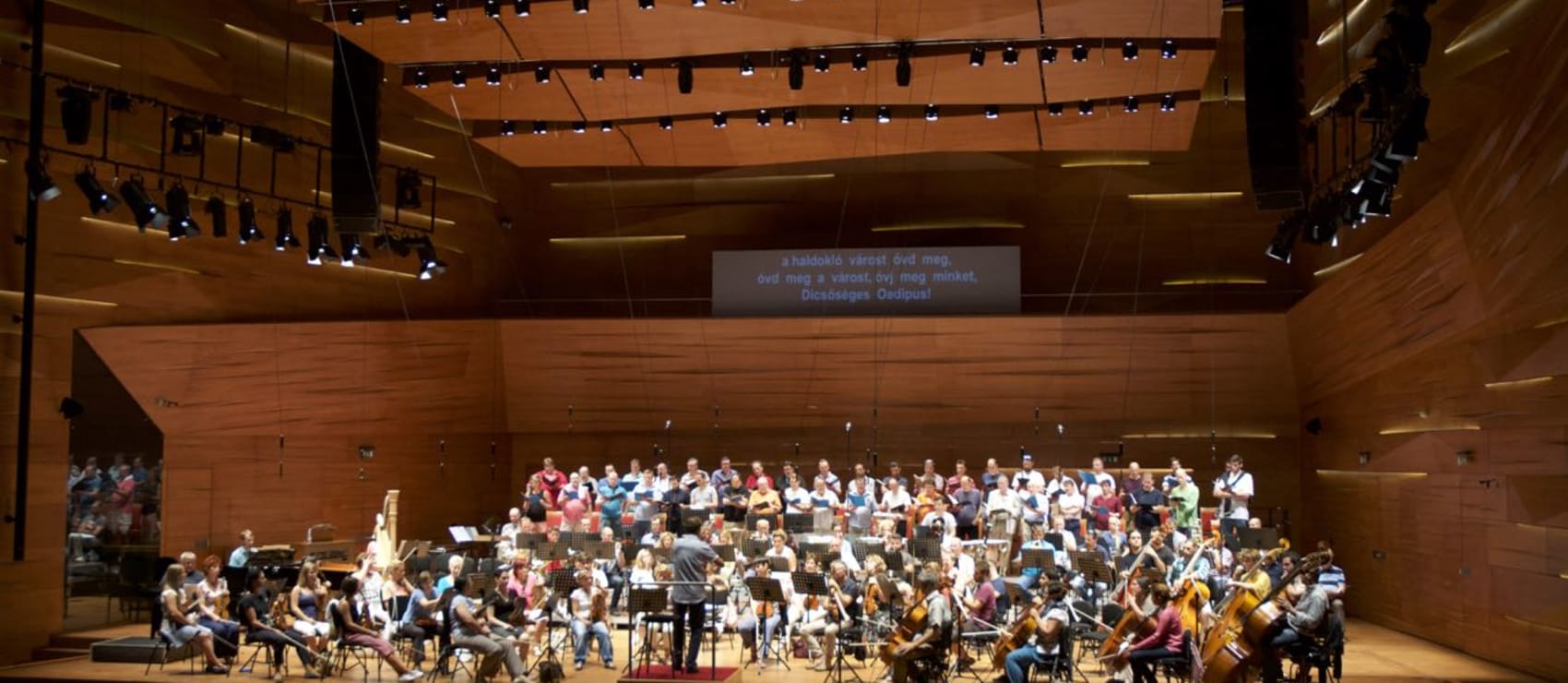Drámai kifejezőerő – Oedipus Rex