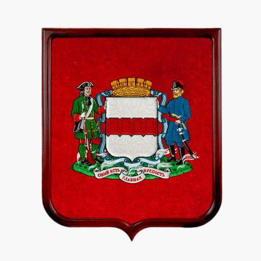 Герб города Омска Вышивка, текстильная аппликация с элементами сублимационной печати. Размер рамы 33 х 37 см.