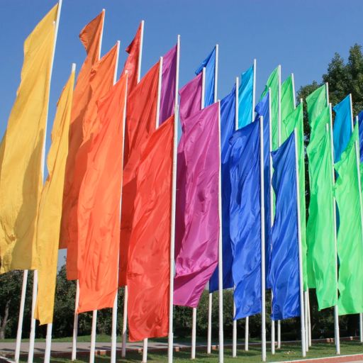 Флаги расцвечивания 