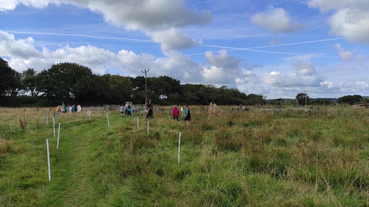 The children were out standing in their field