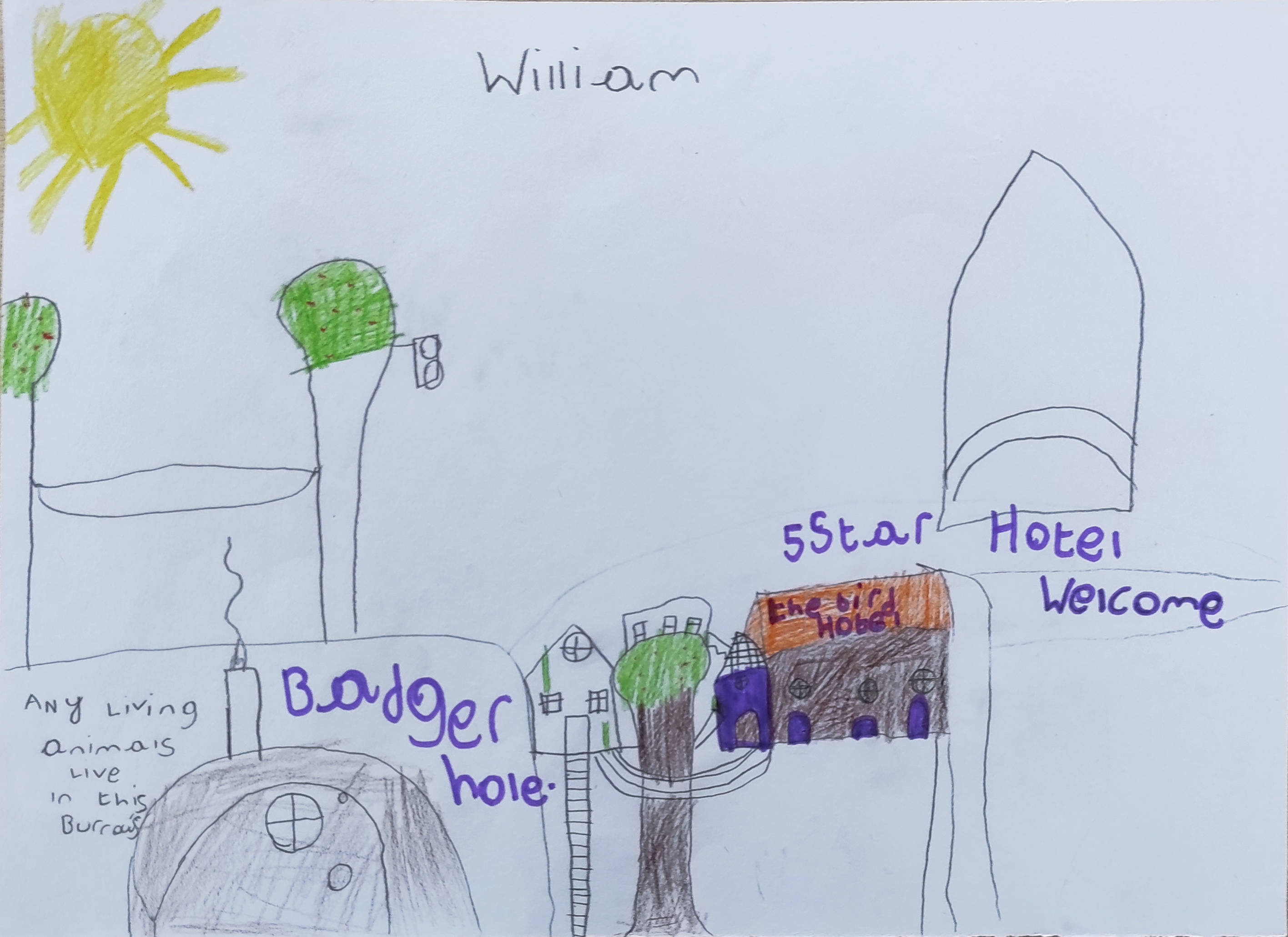 Children's drawing of a garden