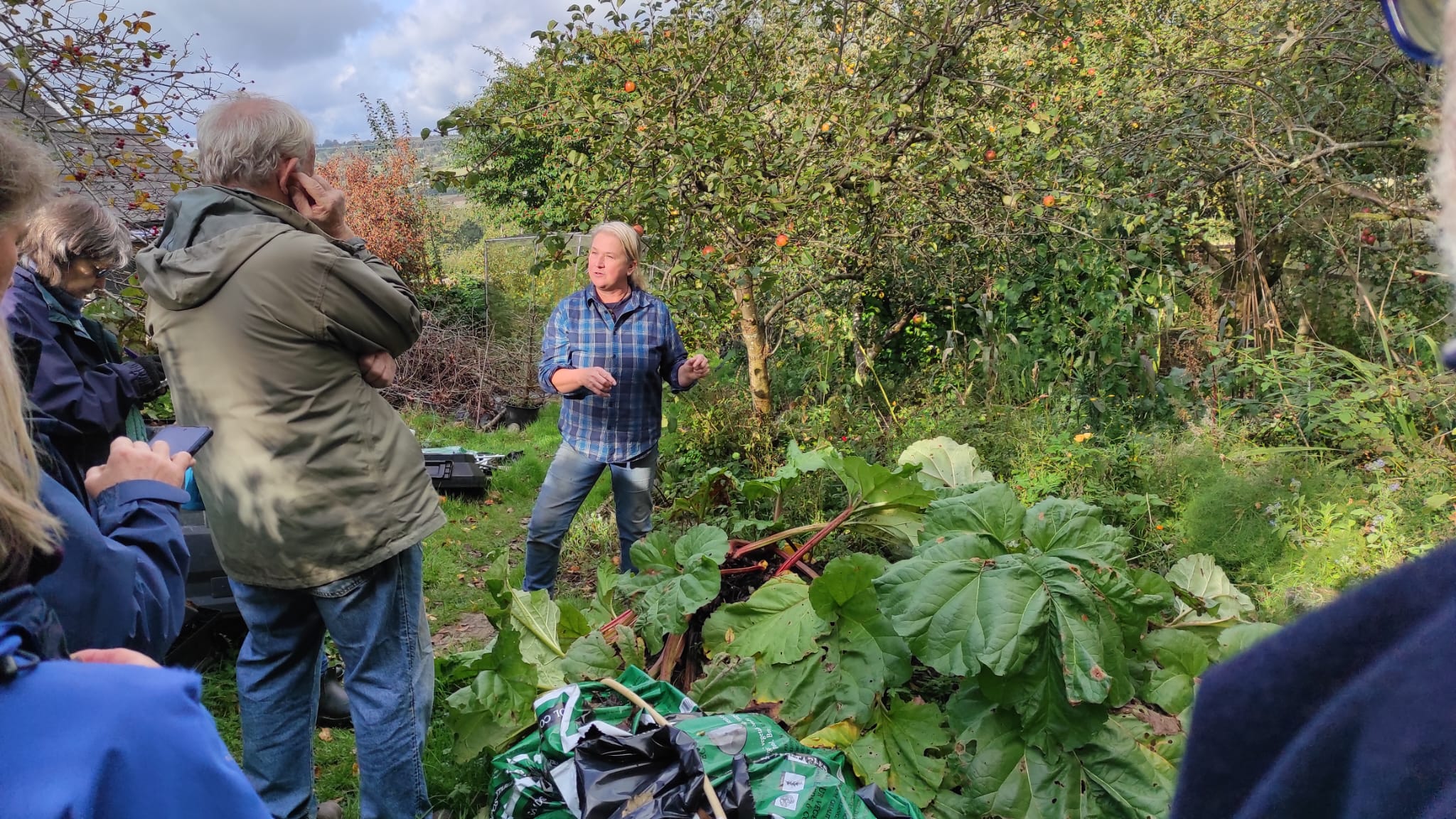 Tyrfa’n syllu ar dwmpath rhiwbob