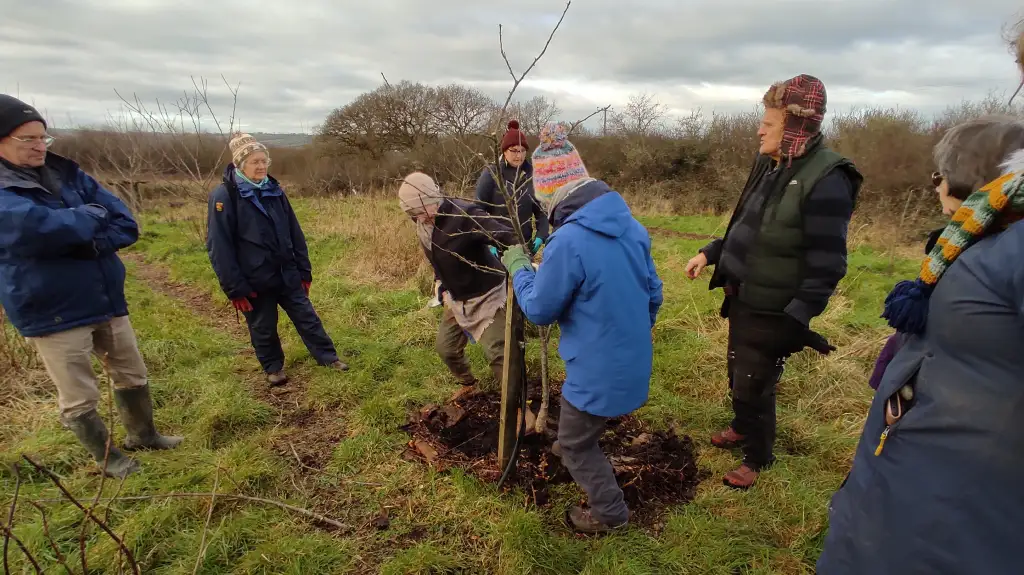 People gathered around a young fruit tree