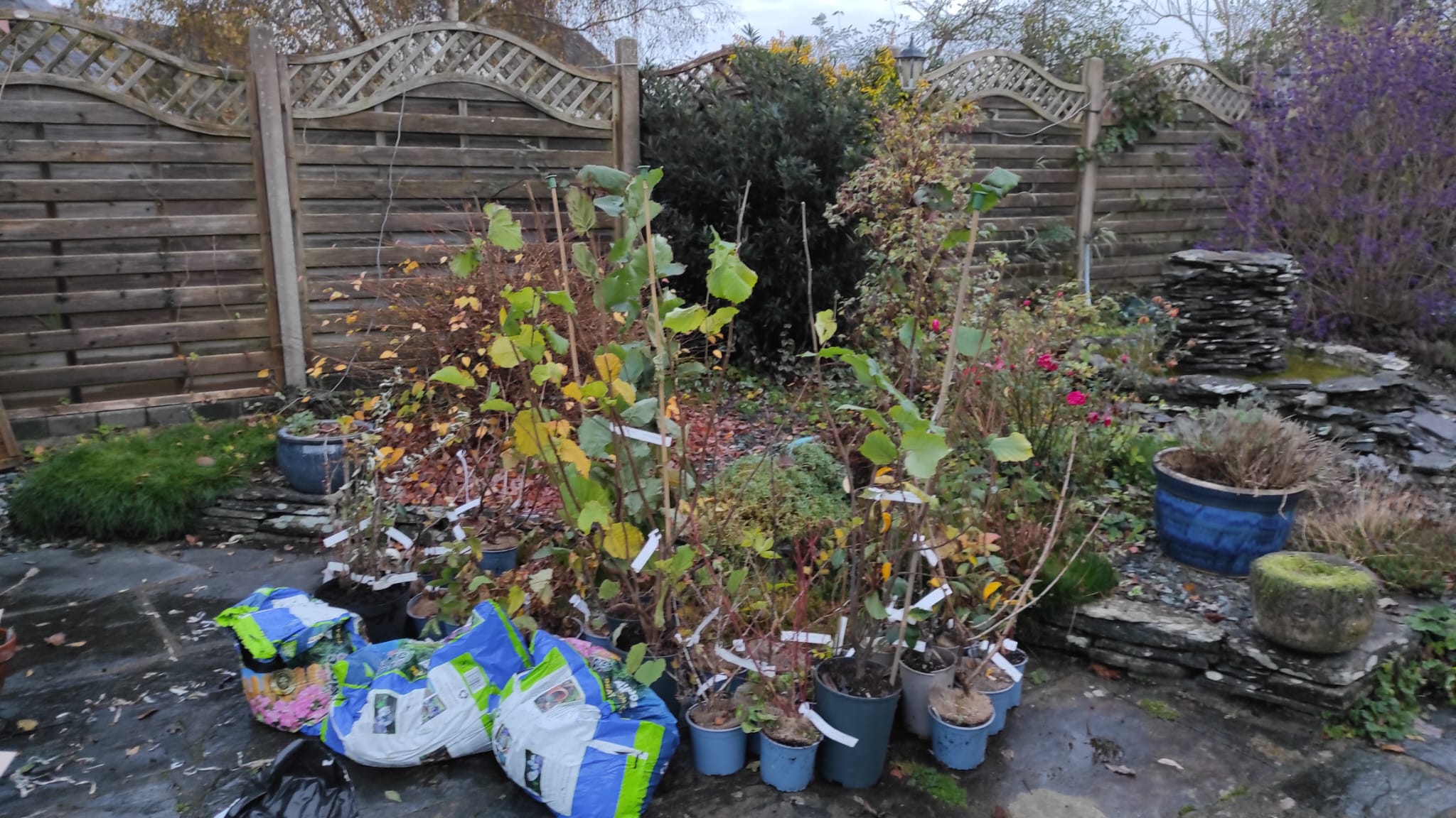 Plant Library