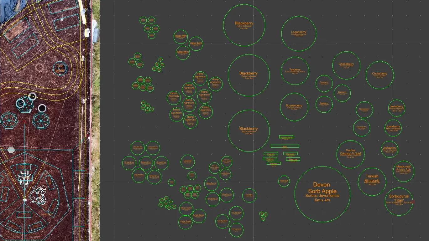 Screenshot of plants in CAD, green circles of varying sizes on a dark background