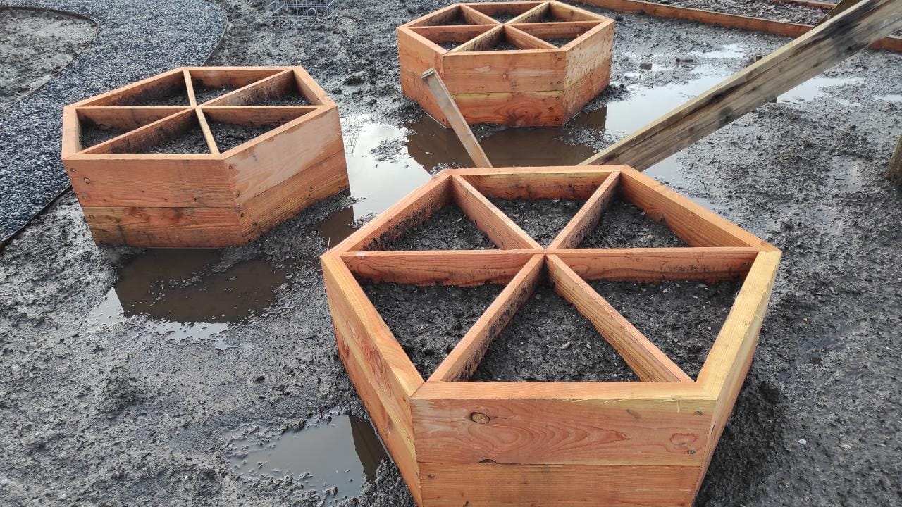 Hexagonal raised beds filled with compost and with dividers