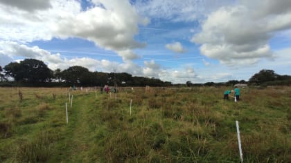 Children in a field looking for bugs