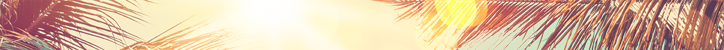 Spring break banner