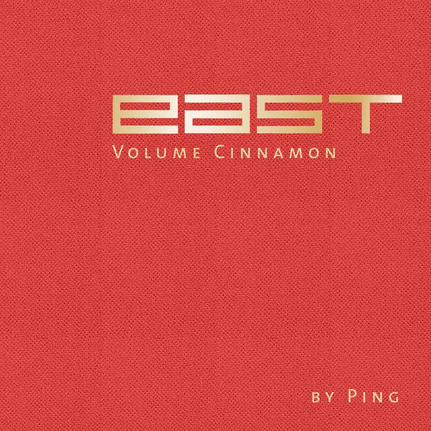 Stefan Feuerhake Feuerhake & DJ Ping – Cinnamon Stefan Feuerhake Feuerhake & DJ Ping – Cinnamon