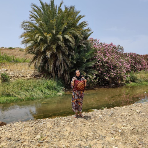  Pillow  Dyed Wool and Cotton Red, Yellow Morocco