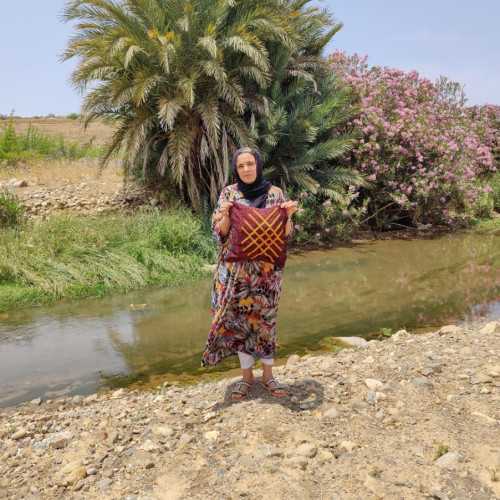  Pillow  Dyed Wool and Cotton Red, Yellow Morocco