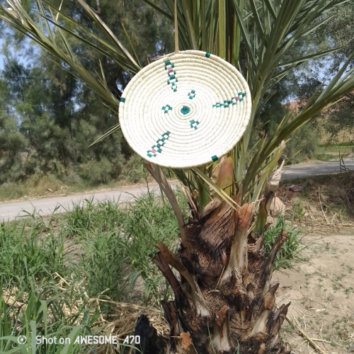  Woven Basket  Green, White Morocco