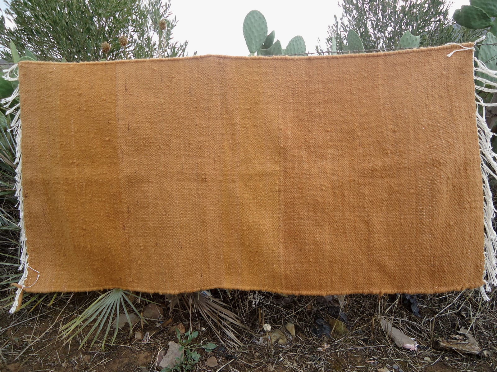 Btaniya Rug