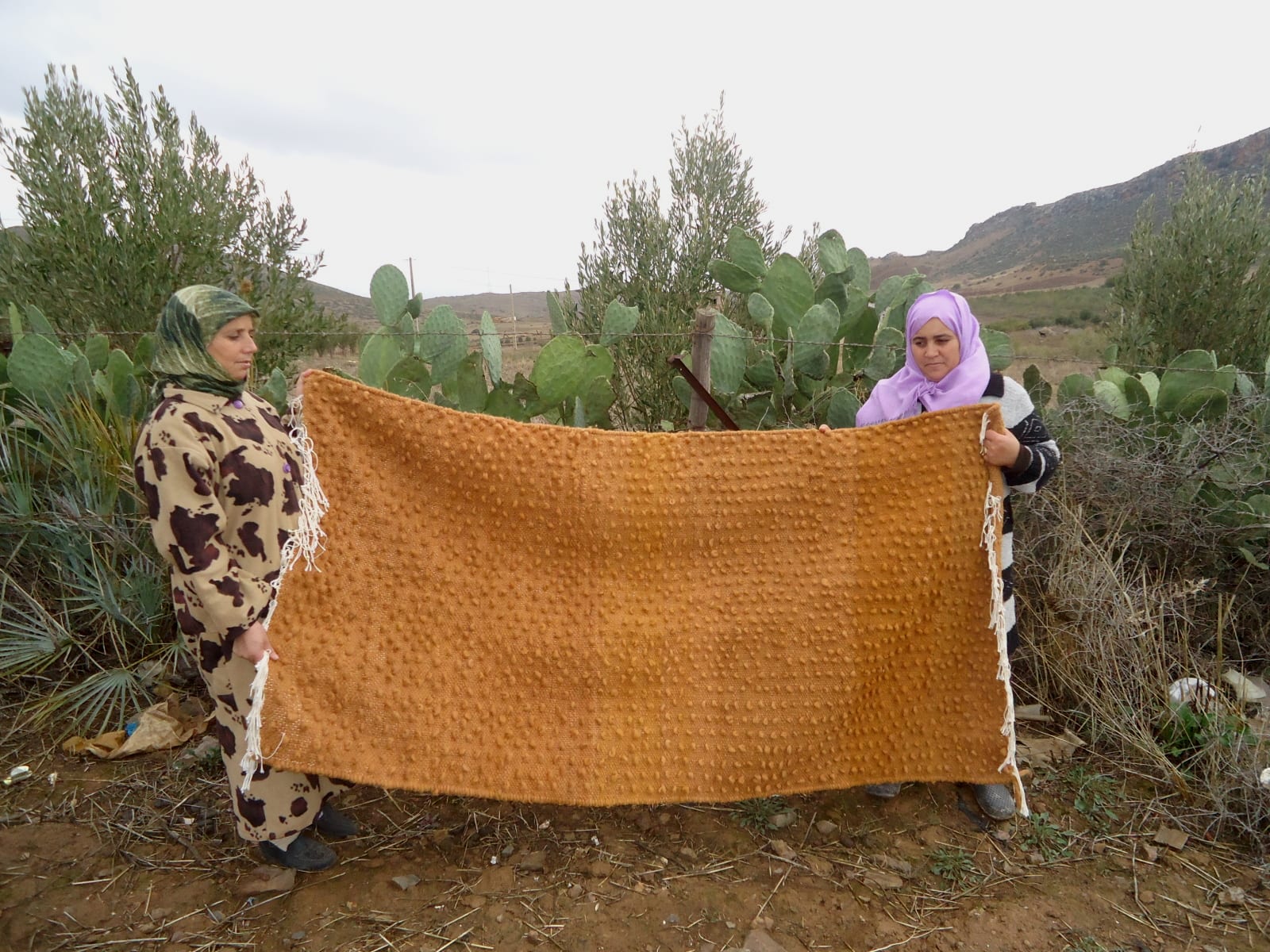 Btaniya Rug