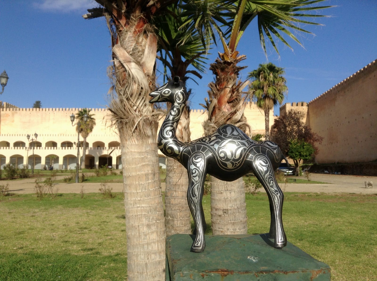  Animal  Steel and Silver Black, White Morocco