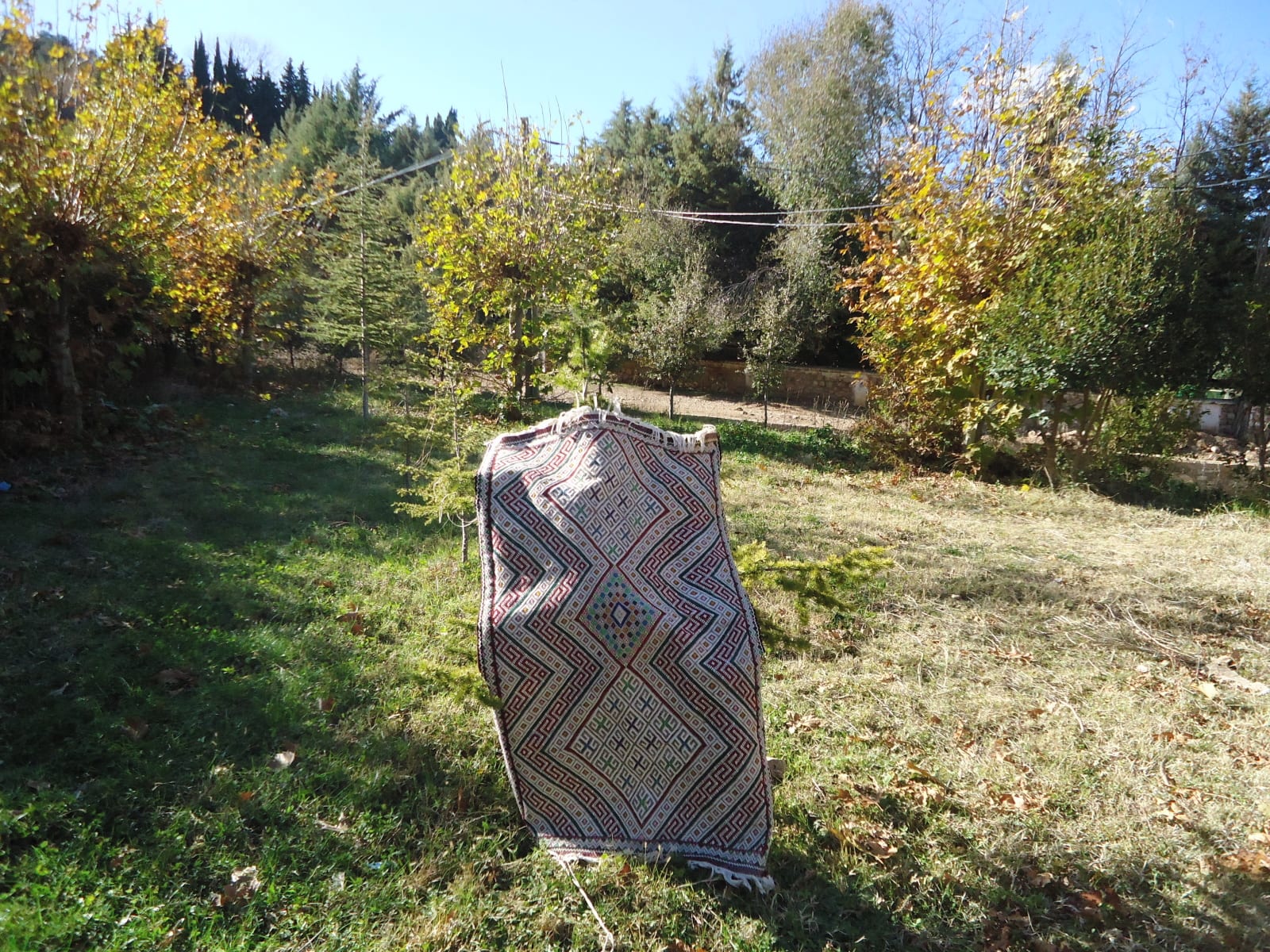  Hanbel Wool and Dyed Wool Colored Morocco