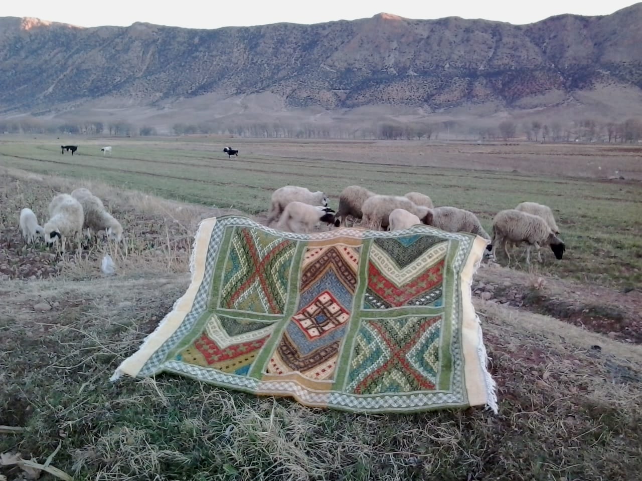 Hanbel Rug