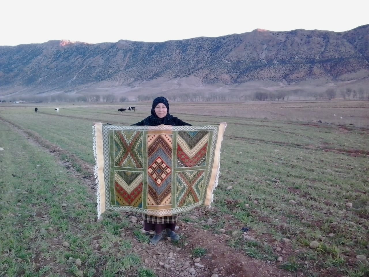 Hanbel Rug