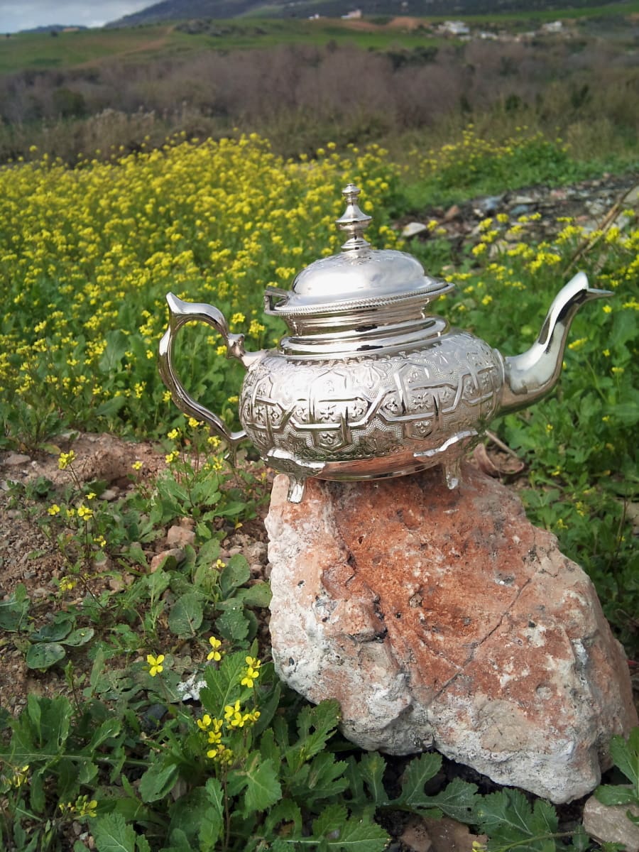  Tea Pot Soder Yellow, Grey Morocco