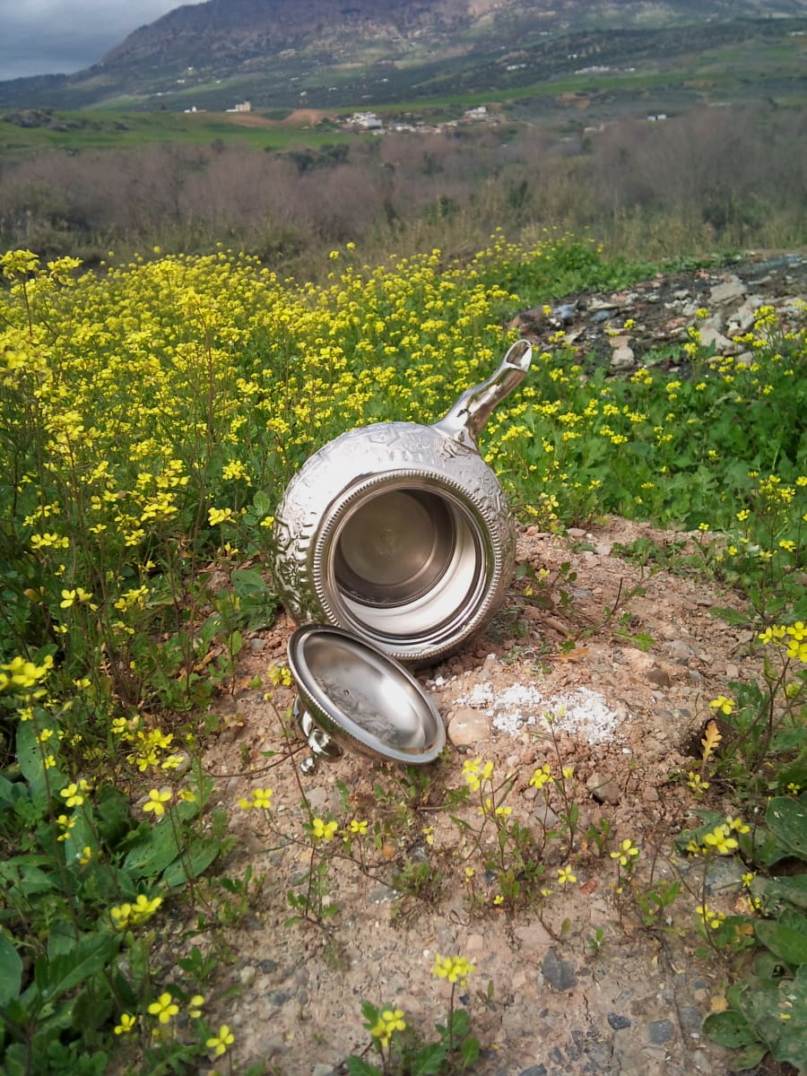  Tea Pot Soder Yellow, Grey Morocco