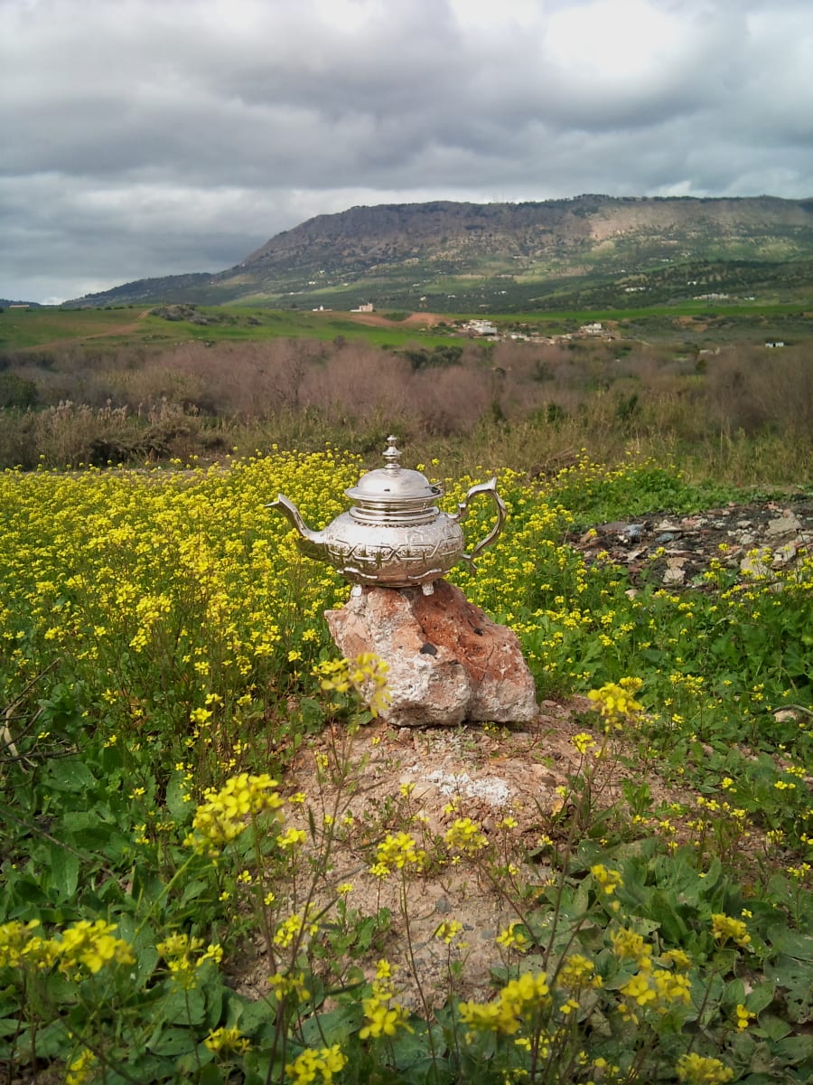  Tea Pot Soder Yellow, Grey Morocco