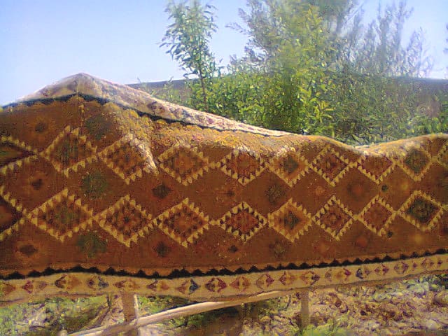 Zerbya