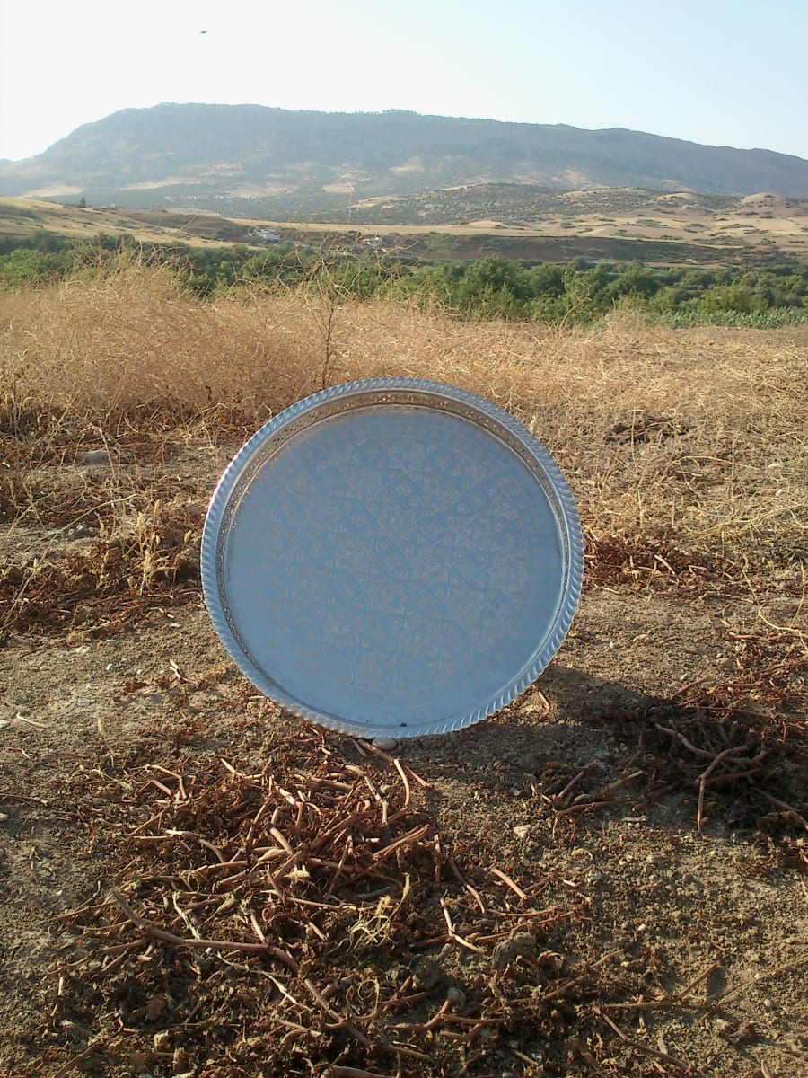 Plate