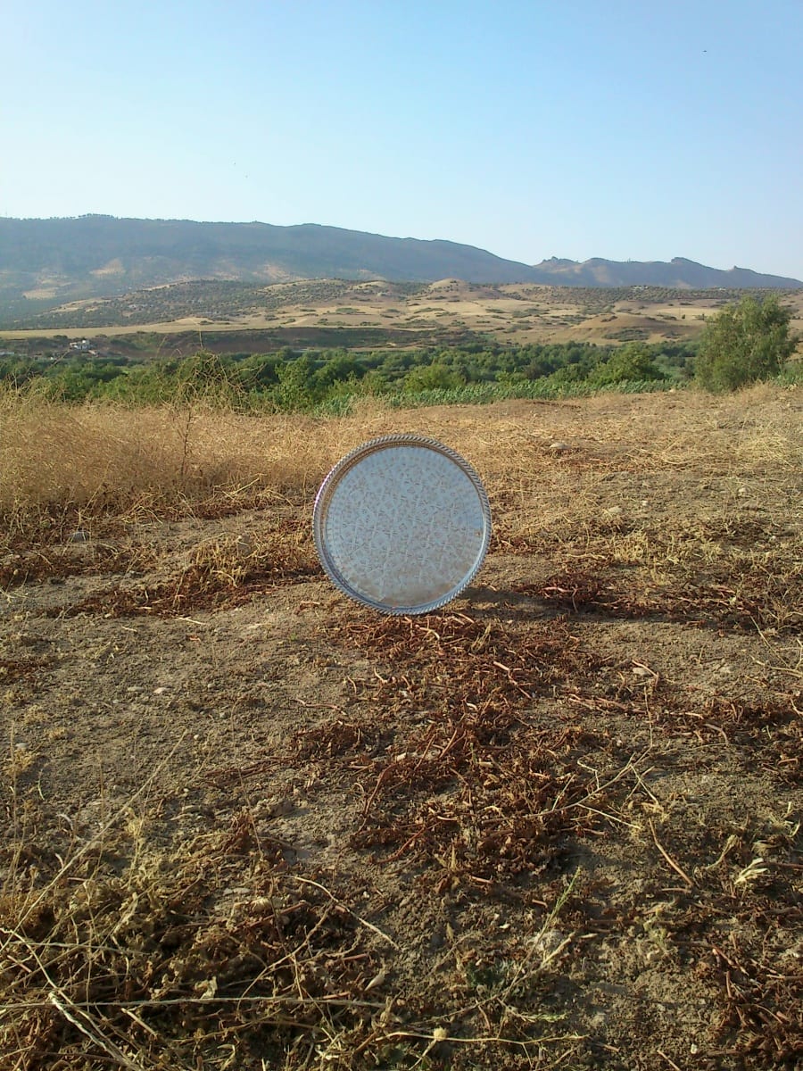Plate