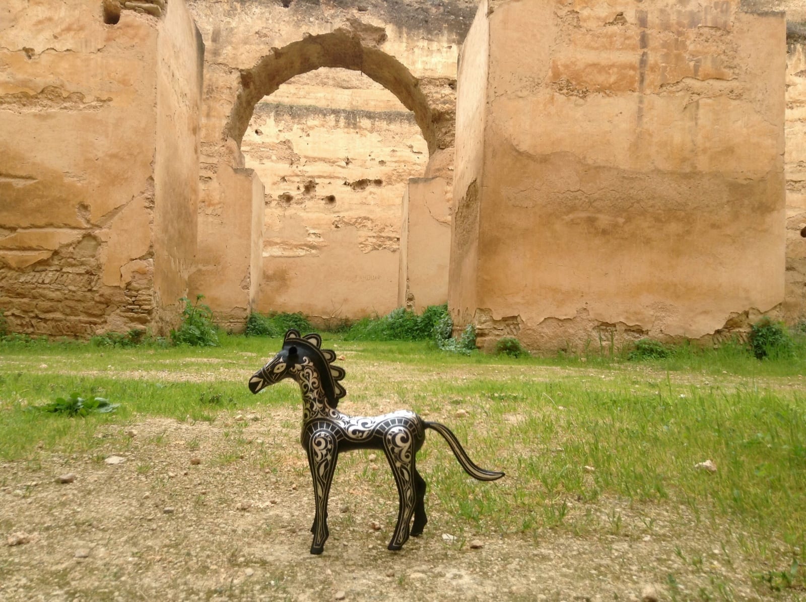  Animal  Steel and Silver Black, White Morocco