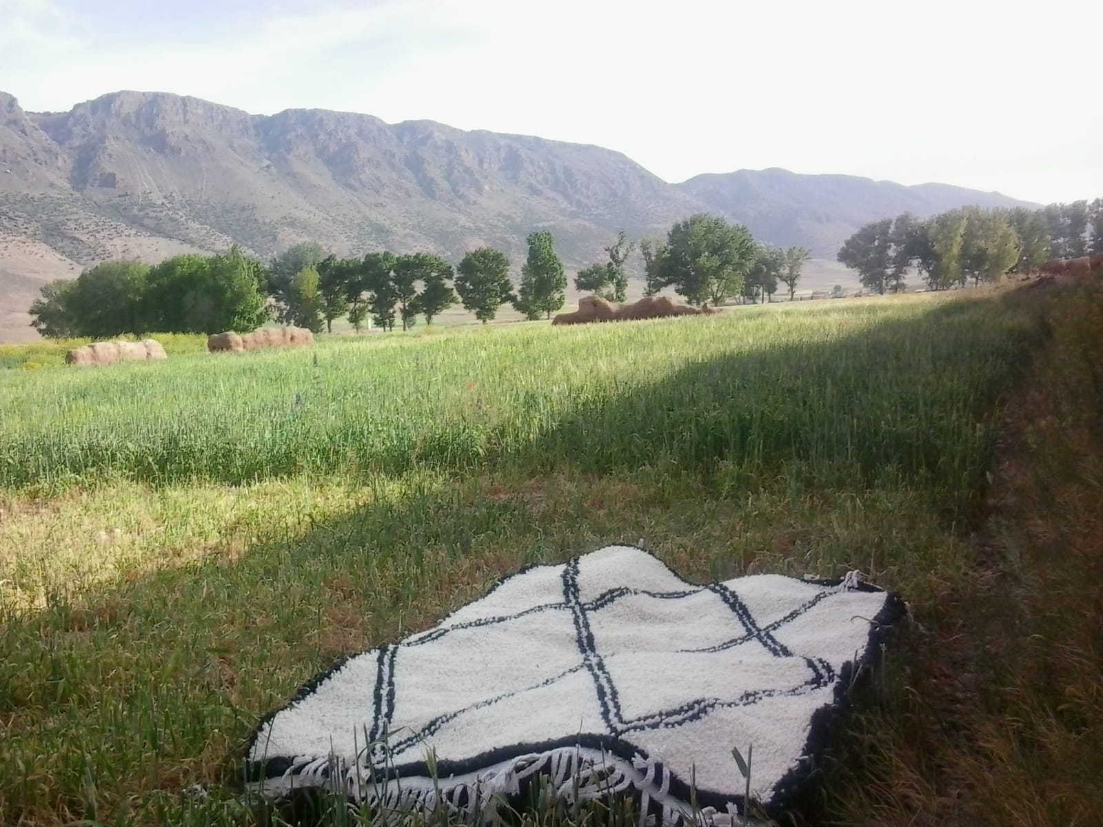 Pile Knot Rug