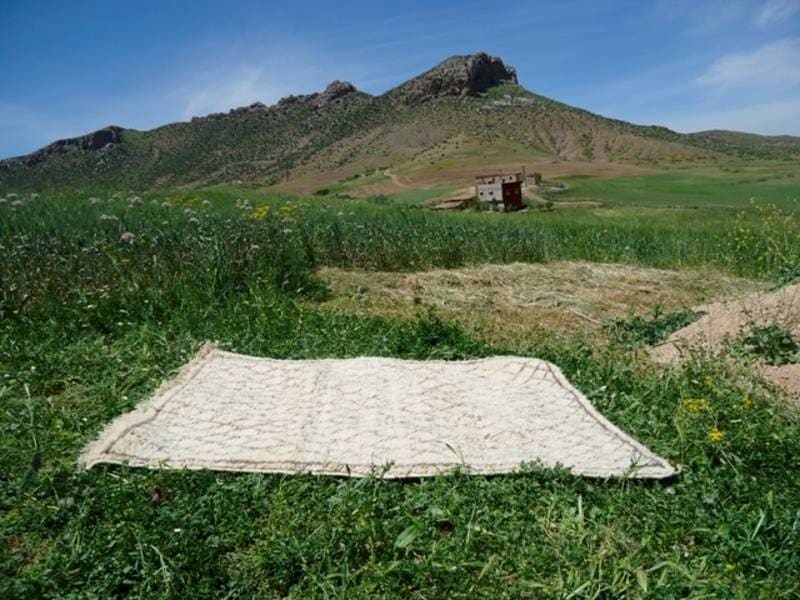  Pile Knot Rug Tadout - Wool Brown, White Morocco