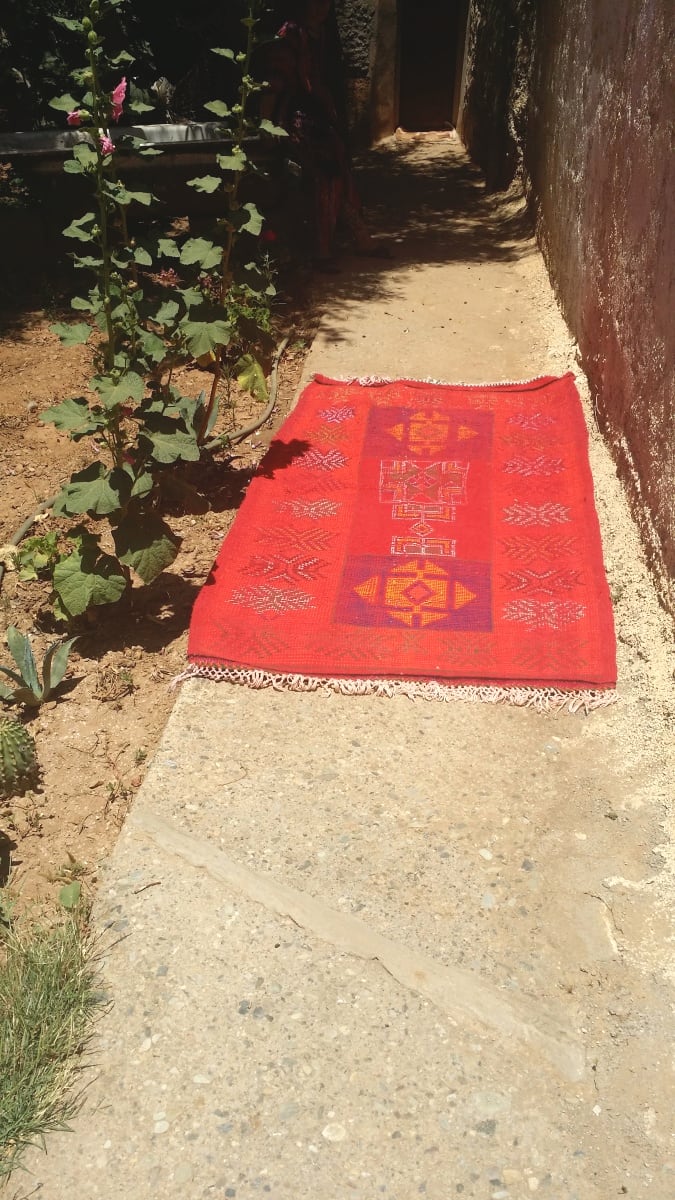  Pile Knot Rug Wool and Thread Colored Morocco