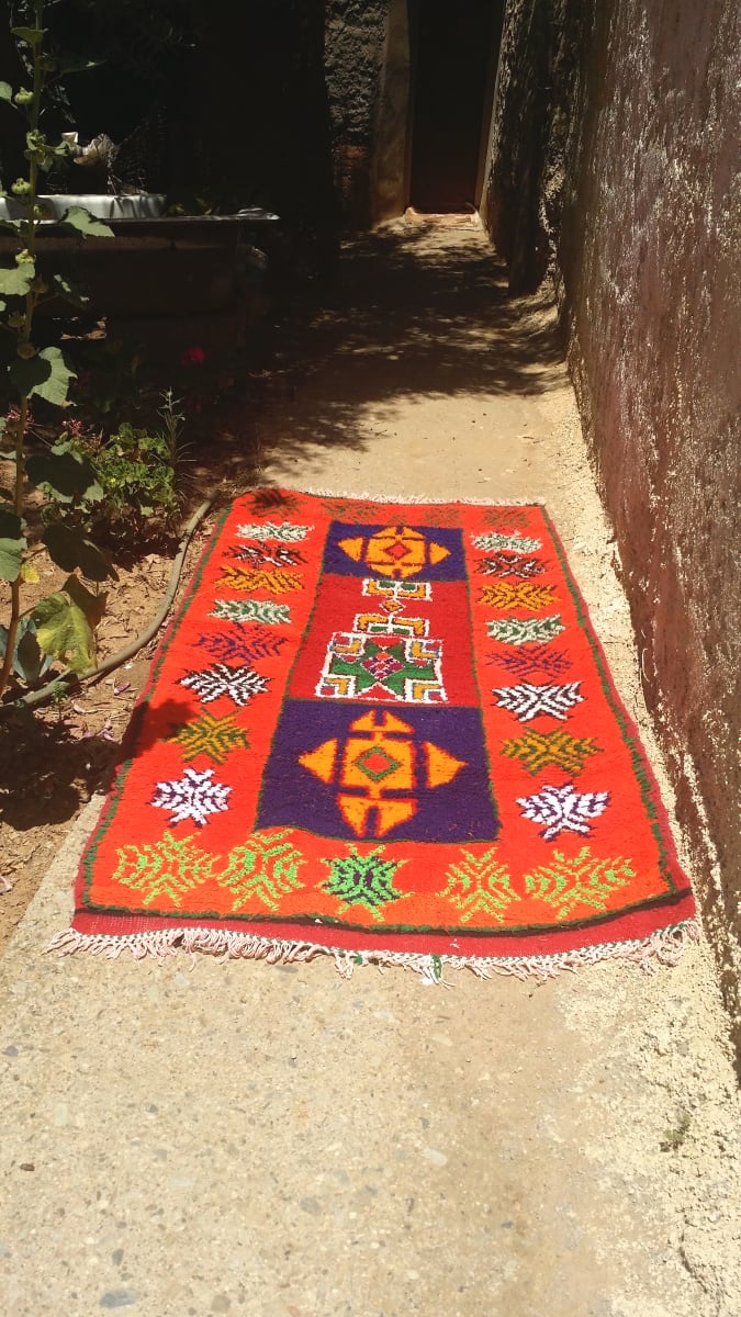  Pile Knot Rug Wool and Thread Colored Morocco