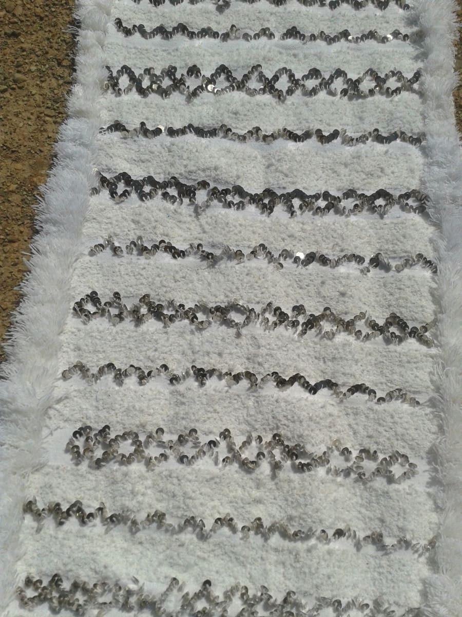 Wedding Blanket