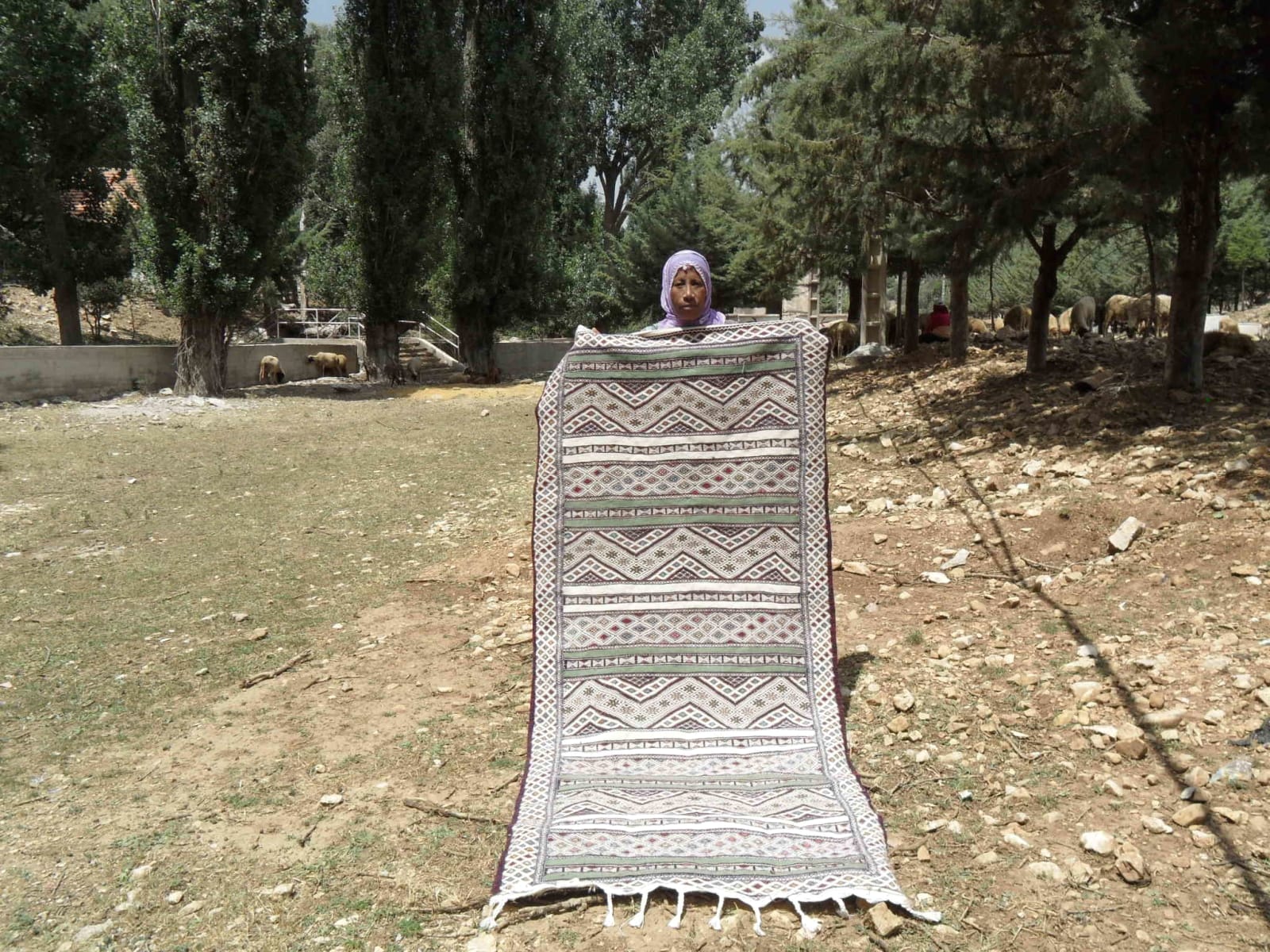  Hanbel Dyed Wool Colored Morocco