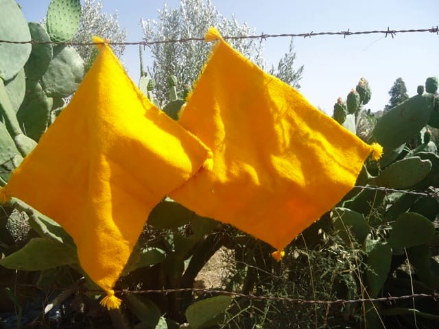 Pillow of wool