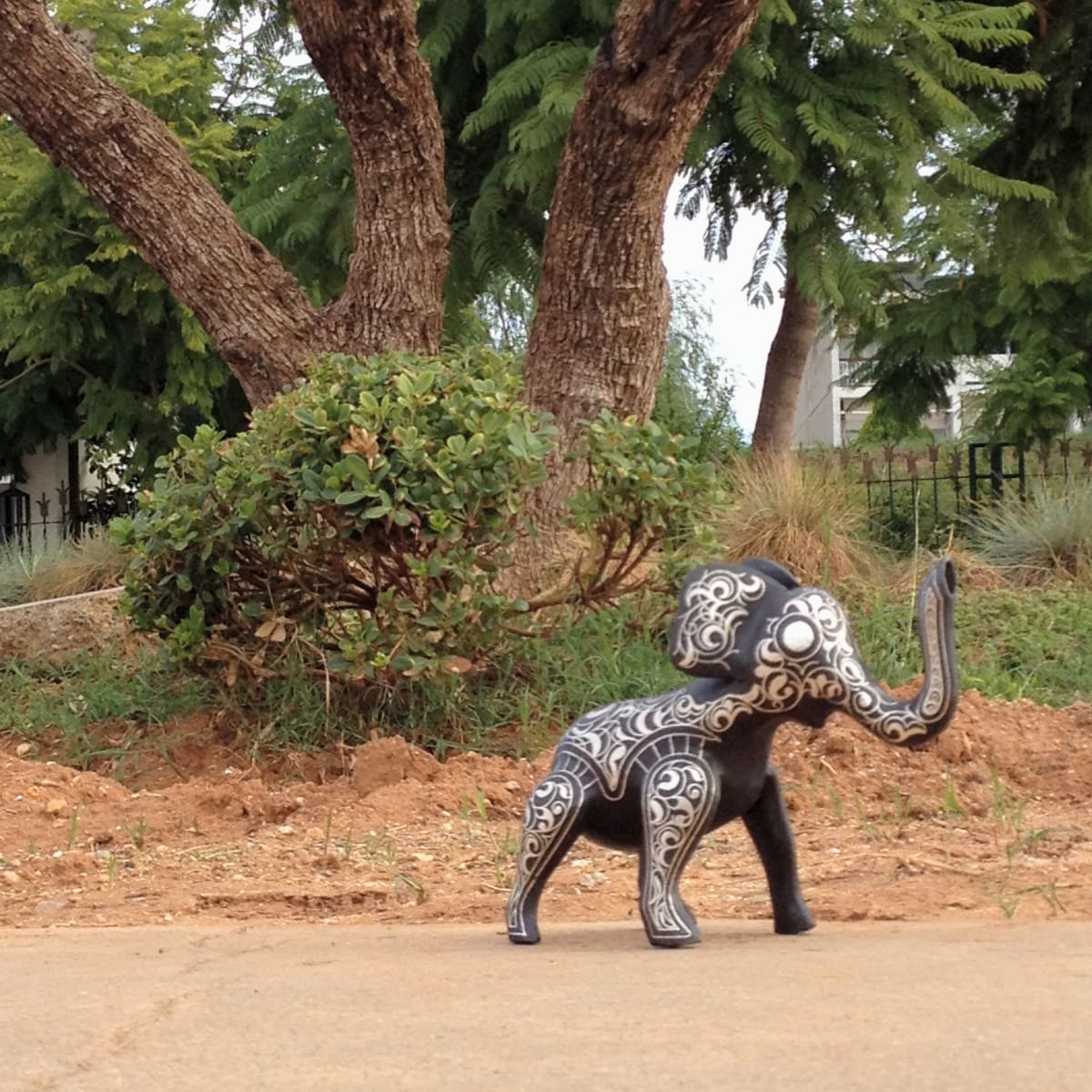  Animal  Steel and Silver Black, White Morocco