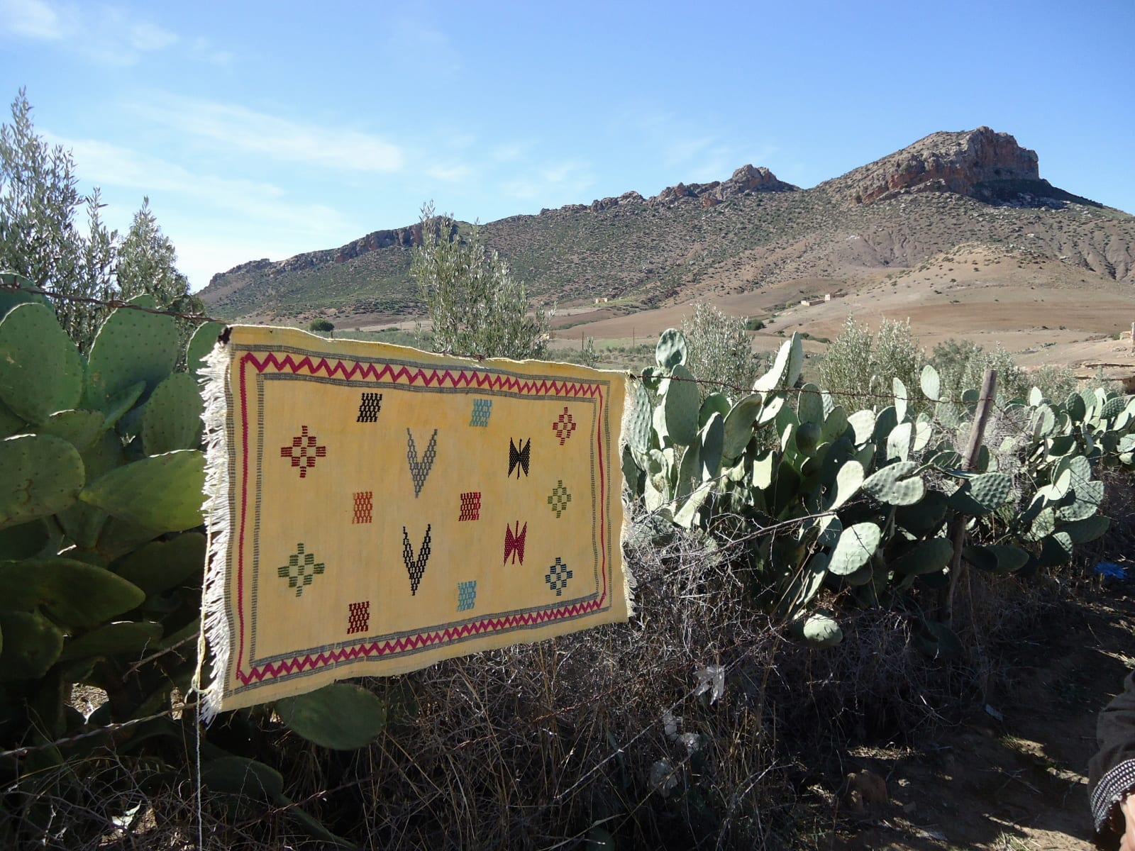  Hanbel Rug Chenille - Morba Colored Morocco