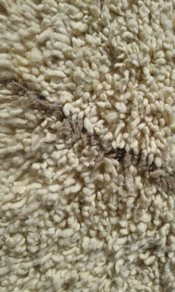 Pile Knot Rug