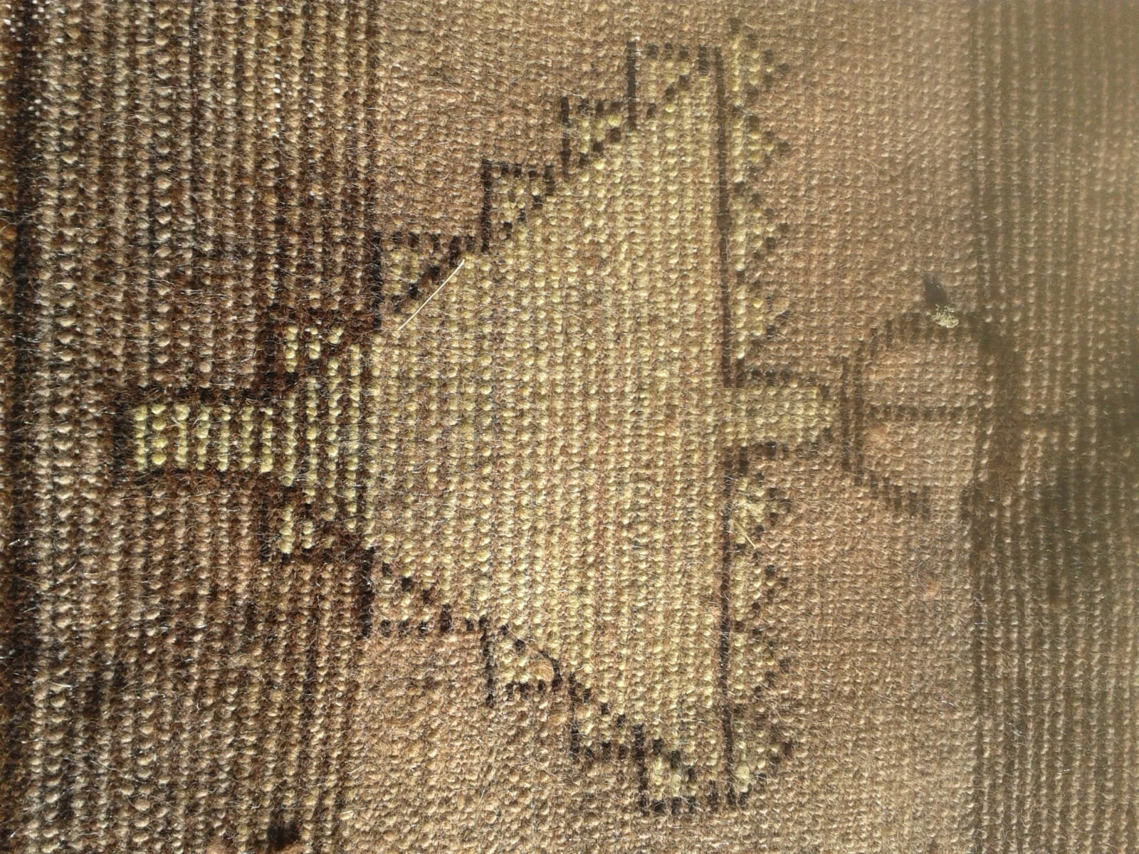  Pile Rug Wool String and Wool Colored Morocco