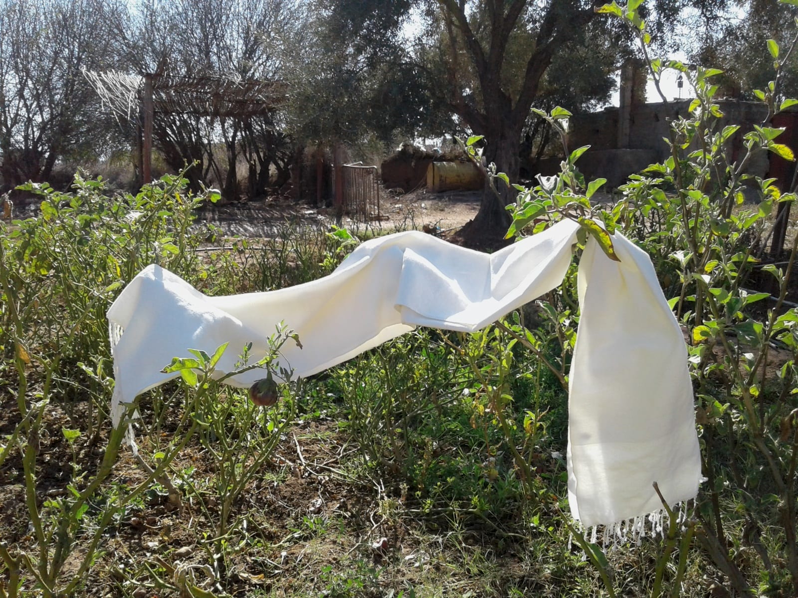  Towel Cotton Thread and Sequins White Morocco