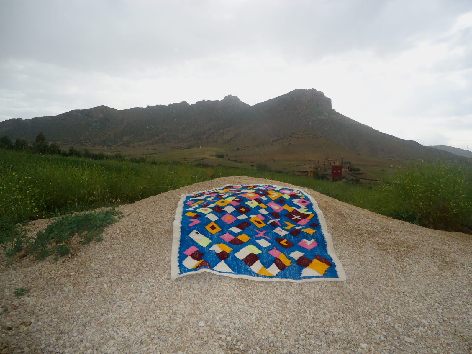 Flatweave Rug