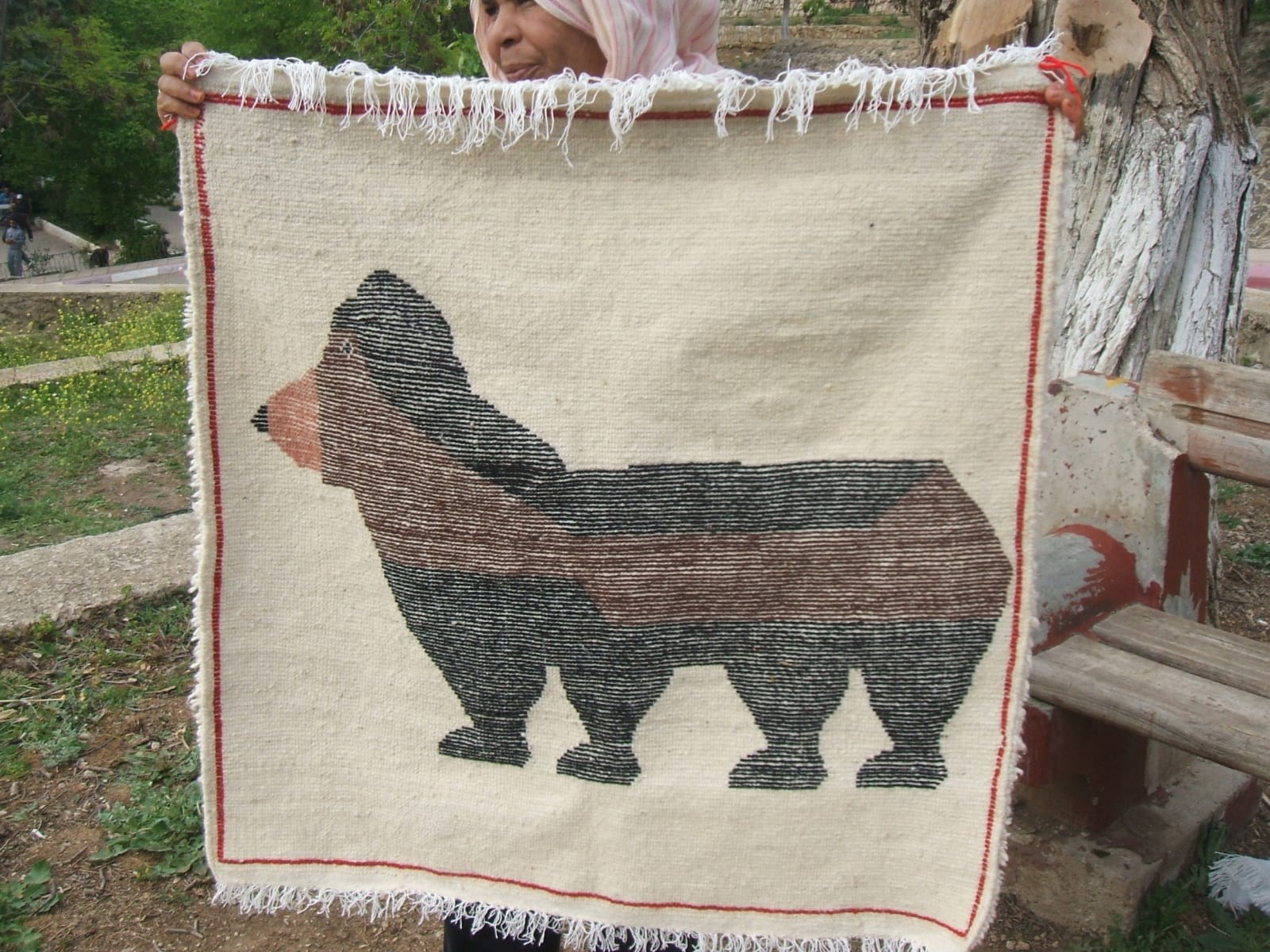  Hanbel Wool Red, Brown Morocco