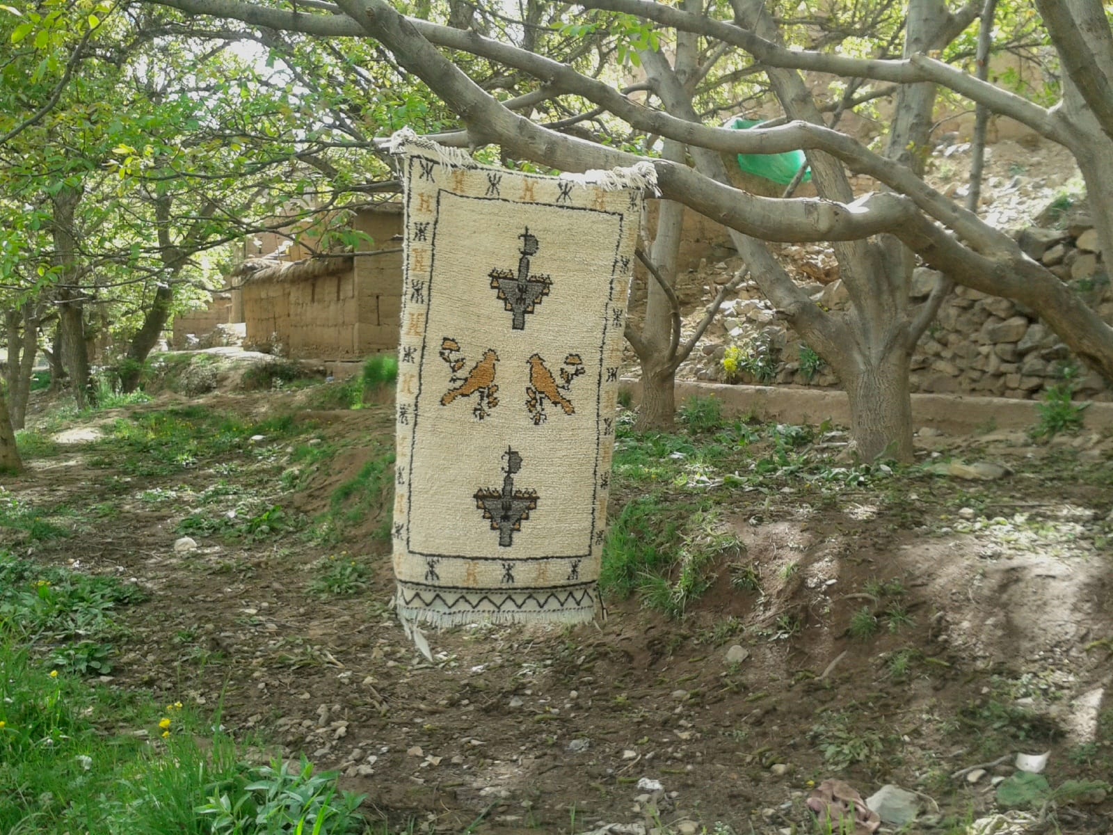  Beni Ourain Rug Wool  and Thread Colored Morocco